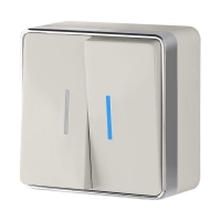 Слоновая кость